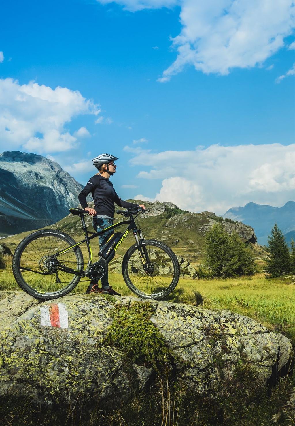 e-kids e-mtb e-kids