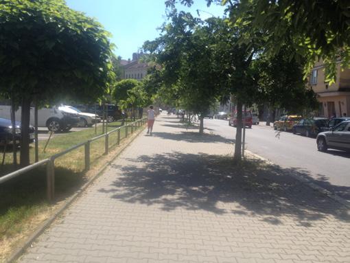 chybějící nebo nevhodně umístěné přechody chybějící zeleň parkování na chodnících legální i nelegální