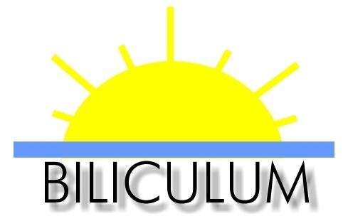 O b č a n s k é s d r u ž e n í B I L I C U L U M se sídlem 690 01 Mikulov, Růžová 561/1 V Ý R O Č N Í Z P R Á V A