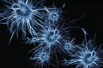 aktuálně Vědecká skupina SAMI (Signal, Analysis, Modeling, and Interpretation group), působící na Katedře teorie obvodů Fakulty elektrotechnické ČVut, získala americký grant Michael J. Fox Foundation.