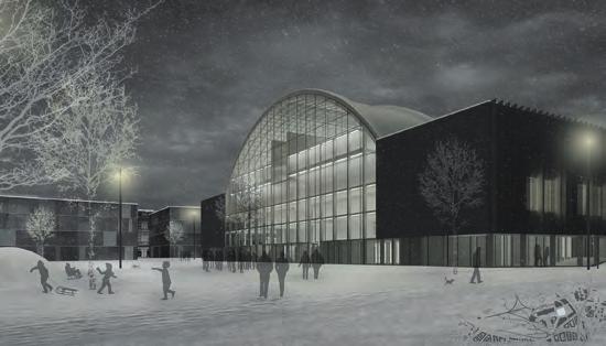 Spočívá ve změně funkcí z nárazového vrcholového hokeje na polyfunkční objekt s každodenním využitím, sloužící veřejnosti jako veřejné brusliště, galerie,