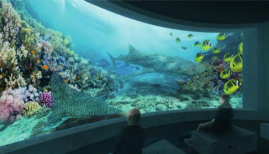Marek Novotný MOŘSKÝ SVĚT / návrh nové expozice nahrazuje stávající, nevhodně umístěné Zoo.