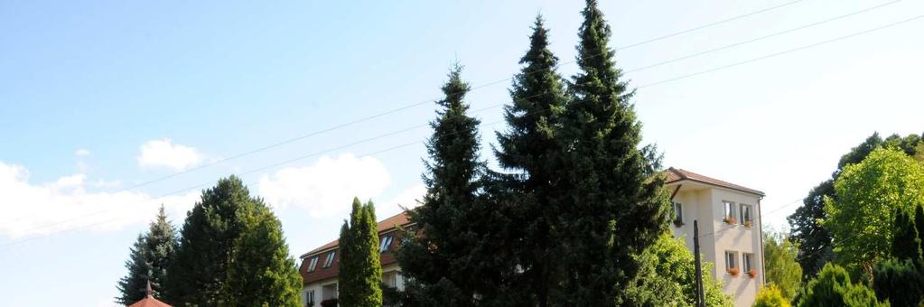 9. STÍŽNOSTI V roce 2015 neřešilo