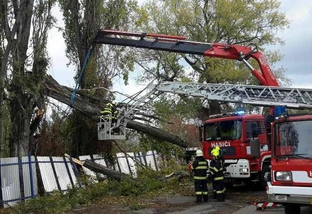 Může se jednat například o odstraňování spadlých stromů, likvidaci obtížného hmyzu, čerpání vody atd.