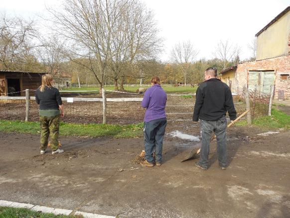 2.4.4 Socializace Během farmingterapie dochází nejen k vyvolání emocí, ale také mohou vznikat sociální vazby a nová přátelství. Jak uvádí Helus (2007, str.