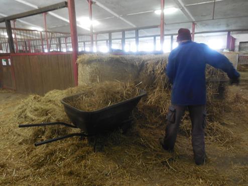 Na otázku, jak je pan J. F. spokojen na farmě, odpověděl klidně. Jsem spokojenej. Můžu si tady všechno vyzkoušet, jako takovou pracovní činnost. Obr. 6.7. Pan J. F. při práci Spolupráci se sociálními pracovníky pan J.