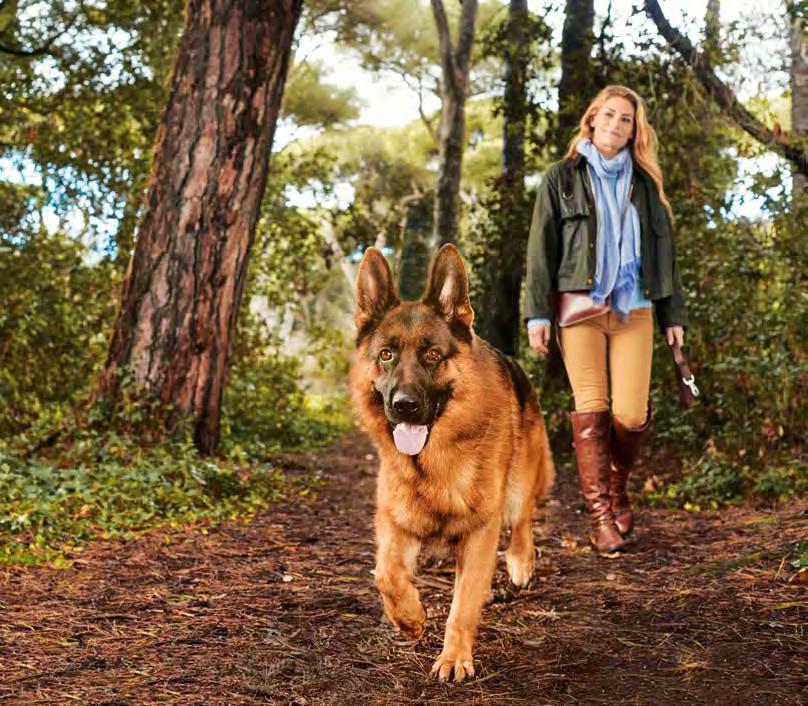 PODPORUJE JEHO DOBRÉ TRÁVENIE A CHUŤ DO ŽIVOTA PURINA PRO PLAN s OPTIDIGEST