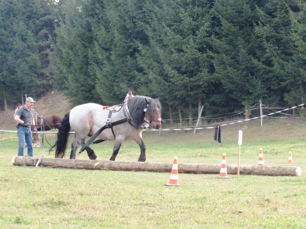 Dále následovala Formanská jízda (jízda vozů na čas přes různé překáţky - most, zetko, slalom, osmička, cikcak, couvání, branka a účko), ve které zvítězil kočí Jaroslav Marvan