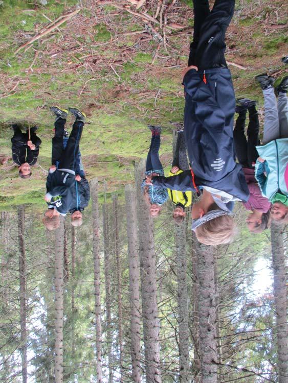 SEV NP Šumava Environmentální výchova v Národním parku a chráněné krajinné oblasti Šumava ZVÍŘATA LESA Vnitřní i venkovní program VP je určen pro žáky 1. až 4. třídy.