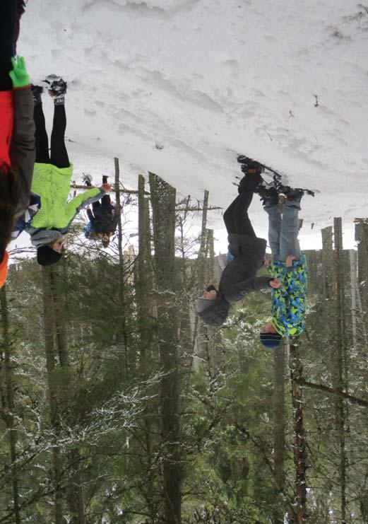 Národní park Šumava je tou nejlepší učebnou pod širým nebem www.npsumava.cz ZE ŽIVOTA VLKA Vnitřní program Délka programu: 1,5 hodiny Na Šumavu se vrací vlk.