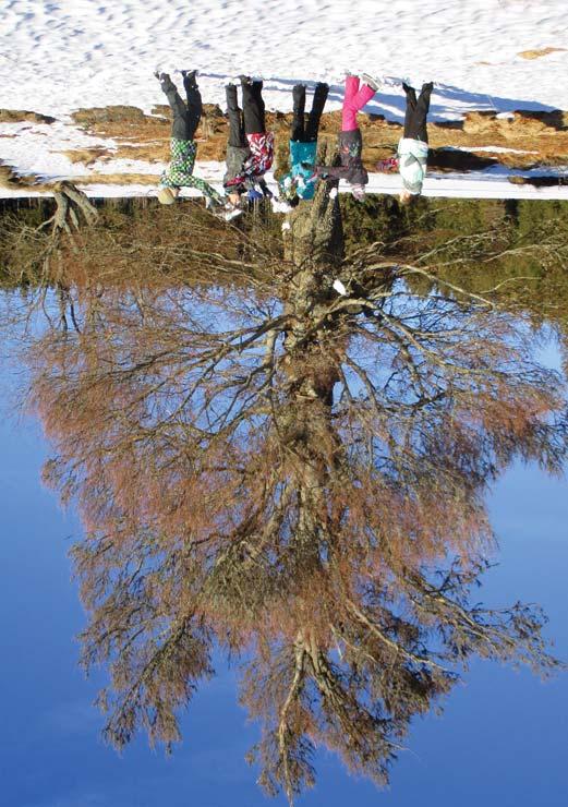 Národní park Šumava je tou nejlepší učebnou pod širým nebem www.npsumava.
