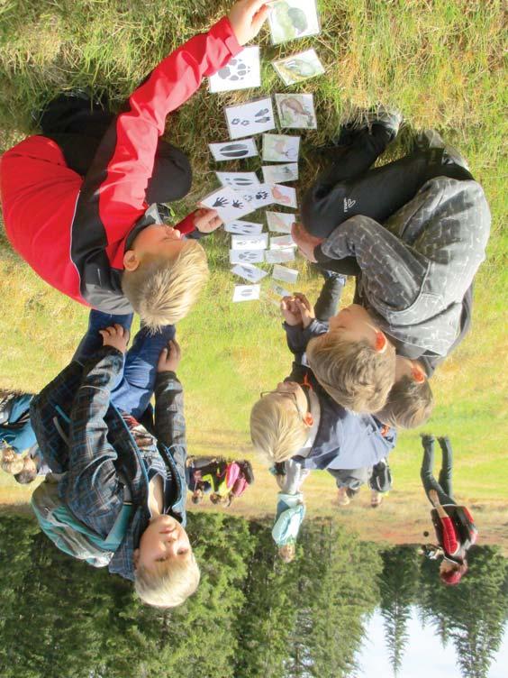 Národní park Šumava je tou nejlepší učebnou pod širým nebem www.npsumava.cz ORGANIZACE PROGRAMŮ: Programy zajišťujeme každý všední den. V den příjezdu je program organizován v době od 13.00 do 15.