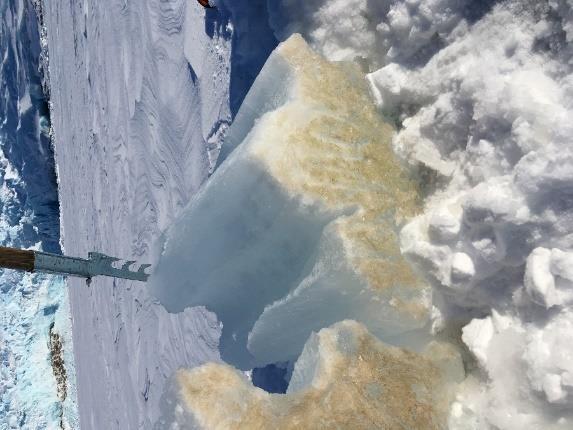 ZIMNÍ ARKTICKÁ EXPEDICE Společenstva mikroskopických řas kryosféry, vliv a spojení od ledovců k mořskému ledu v Billefjorden (RiS-ID 10889) Marie Šabacká 1, Josef Elster 1, Eva Hejduková 2, Linda