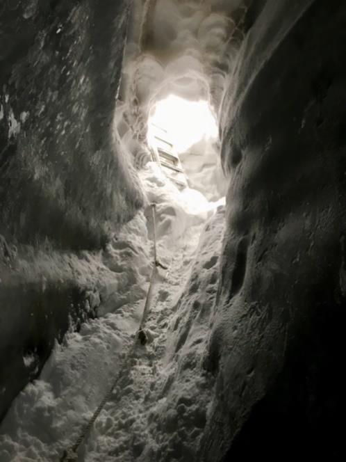 SVALBARD 2018 Mikrobiální společenstva ledovcových jeskyní Svalbardu Marie Šabacká 1, Julia Endresen Storesund 2, Lise Øvreås 2, Magdalena Witkowska 3 (UNIS), Eva