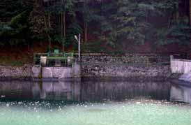 7 Kočkovce lock: a) the lock and the supply channel mouth, situation, b) longitudinal section, c) after completion, d), e) current state, f) raft weir, detail of the bed Jelenec a vyrovnávací komorou