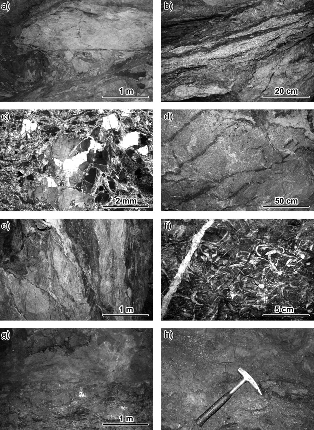 GEOL. VÝZK. MOR. SLEZ., BRNO 2012 Obr. 3: Horniny zastižené štolami ve Křtinském údolí: a tektonická brekcie granodioritu brněnského masivu, štola č.