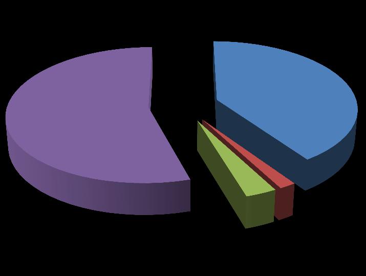 4. STATISTIKY AKTIVIT PARTNERS CZECH V ROCE 2015 Cílové skupiny