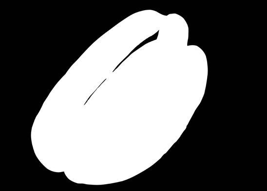 ŠPEKAČKY  3,9 V ponuke