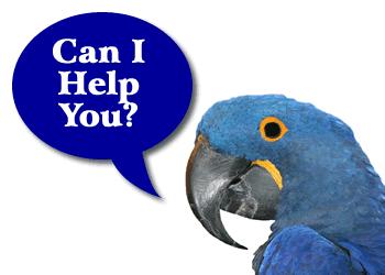 A parrot can talk,