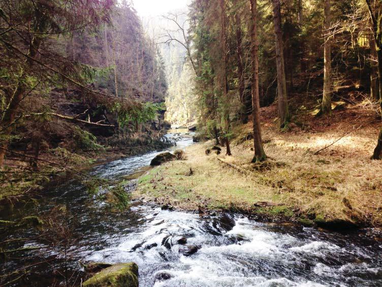 soutìsek umístìnou ve vedlejší místnosti.