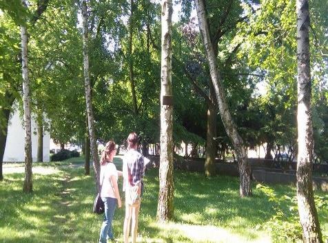 Dendrologický park a mikroskopování Doplňující informace Jednotlivé vámi vybrané