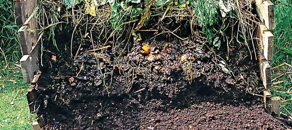 bioplynu tato fáze trvá až do vyčerpání
