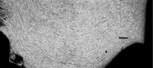 Struktura je ponekud nehomogenní a protažená feritická zrna dosahují délky až 100 m. Na obr.