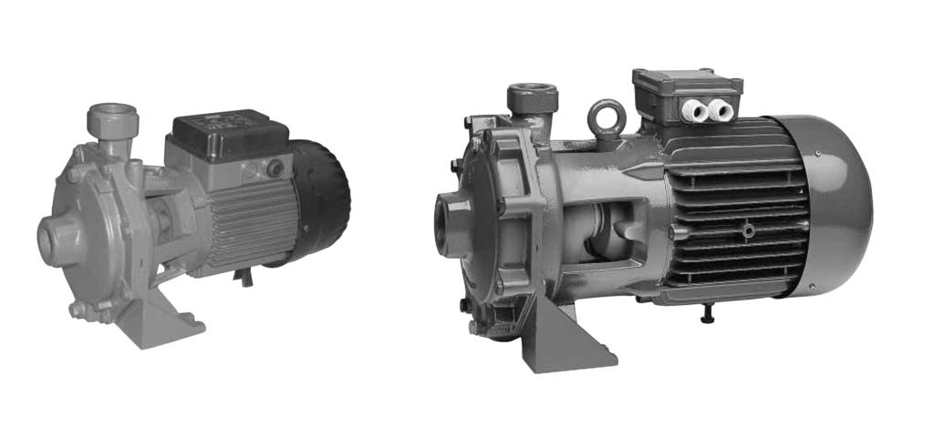 Konstrukce motoru Motor je asynchronní, dvoupólový, uzavøený, nucenì chlazený okolním vzduchem.
