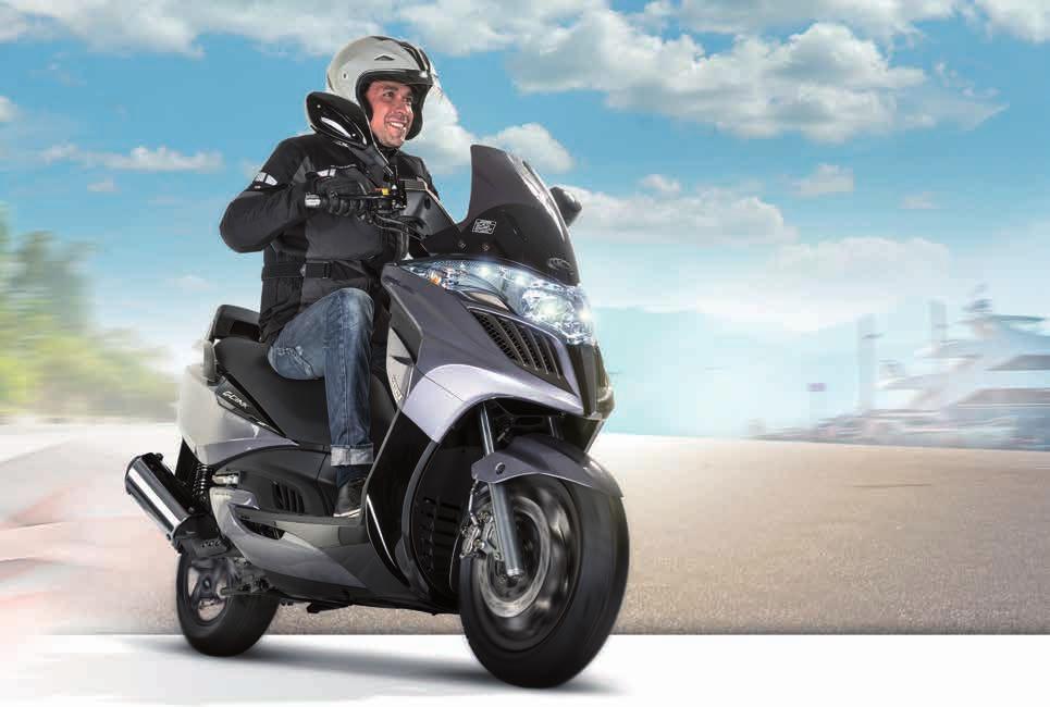 Helma SPEEDS Sportive