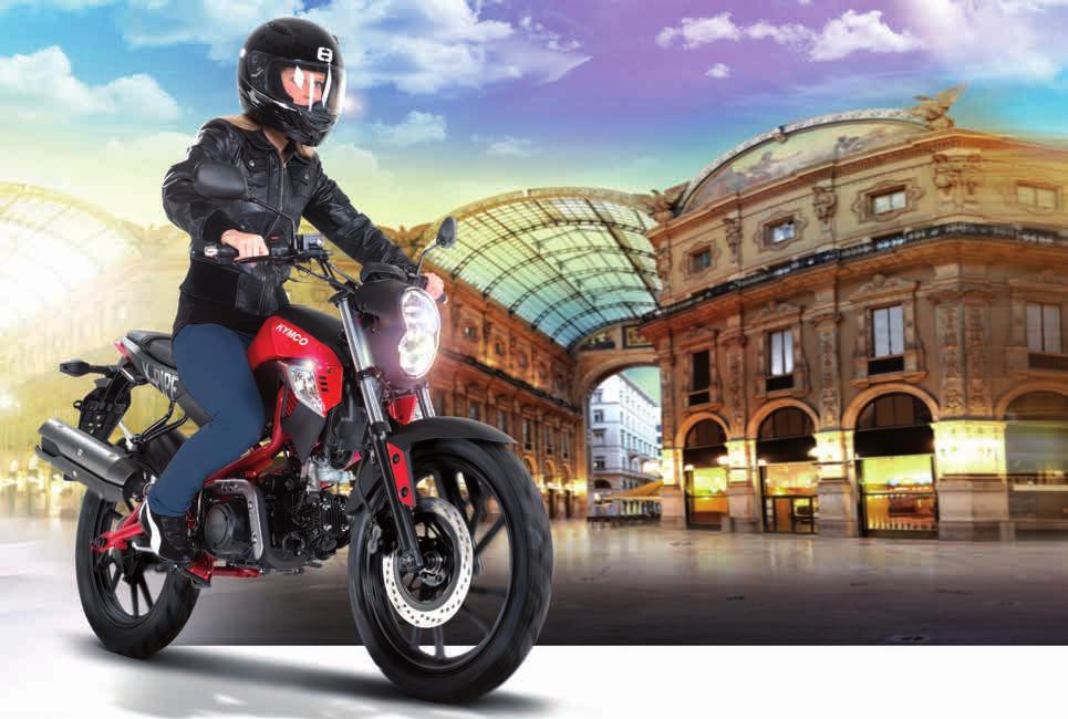 Helma SPEEDS "Evolution