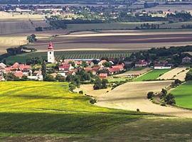 V první části studia se seznámíš s teorií základních přírodních věd jako je botanika, genetika či výživa rostlin, ve druhé části studia si již většinu předmětů vybíráš dle zvoleného směru.