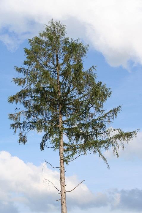 Obrázek 3.6.