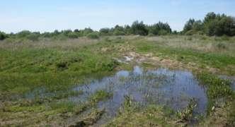 zapojených