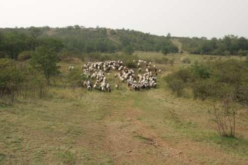 biodiverzity v