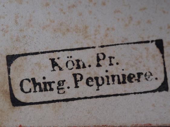 Pépinière pruská královská