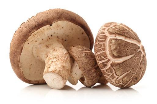 OBNOVUJÍCÍ ULTRA LEHKÝ DENNÍ KRÉM EXTRAKTY PUPEČNÍKU ASIJSKÉHO, SHIITAKE