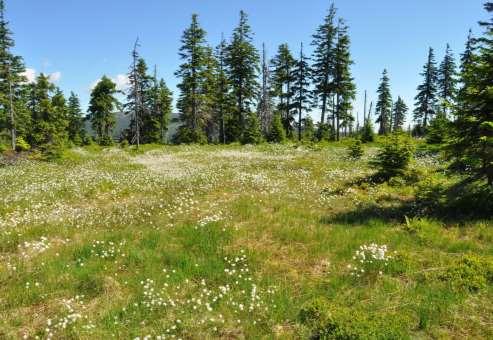 DIAMO, státní podnik, odštěpný závod Správa uranových ložisek 28. října 184, Příbram VII 261 01 Příbram Příbram 15.