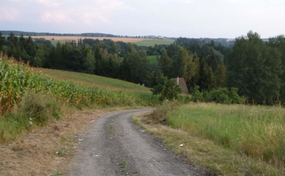 Pozemek je situován na okraji lesa v horní části levobřežního svahu údolí řeky Jihlavy ve vzdálenosti cca 230 m od koryta vodního toku.