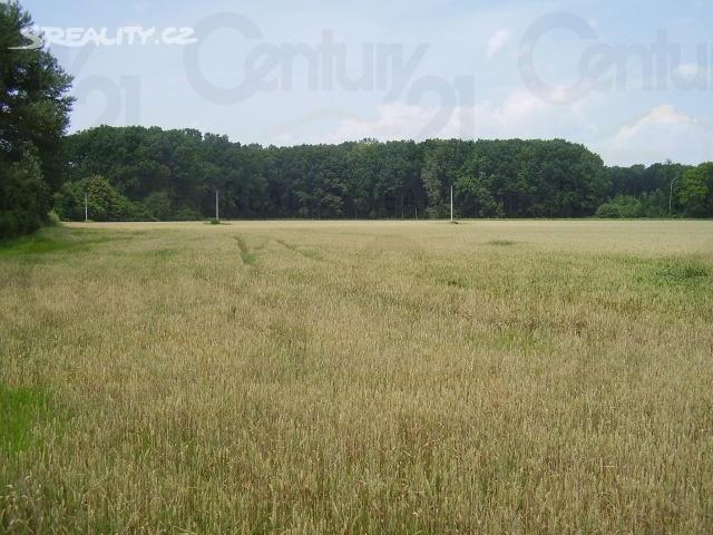 12 Celková plocha: 15 394 m 2 Druh pozemku: orná půda Pozemek, Brusné Realitní server: Reality IDnes Kód nabídky: IDNES-478793 http://reality.idnes.cz MoniT-ID: 3BCB72 Nabídková cena: 88 000, Kč vč.
