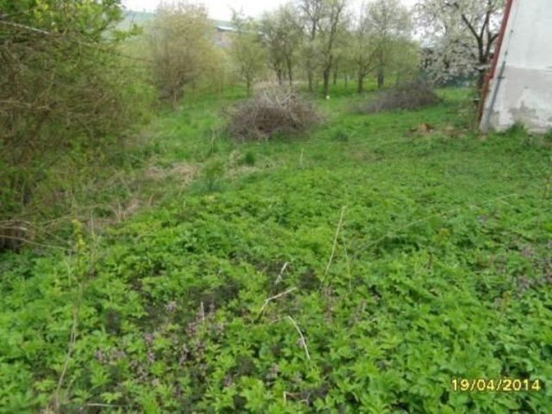 14 Pozemek, Blazice Realitní server: Reality IDnes Kód nabídky: IDNES-28378 http://reality.idnes.cz MoniT-ID: 3BCB9A Nabídková cena: 46 000, Kč vč.