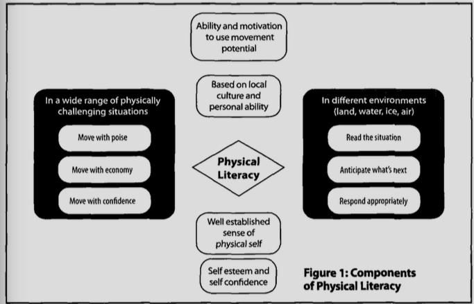 b) A wide range of physical challenging situations A wide range of physical challenging situations include two kinds: one is natural world, such as water, different surfaces, hills and all manner of