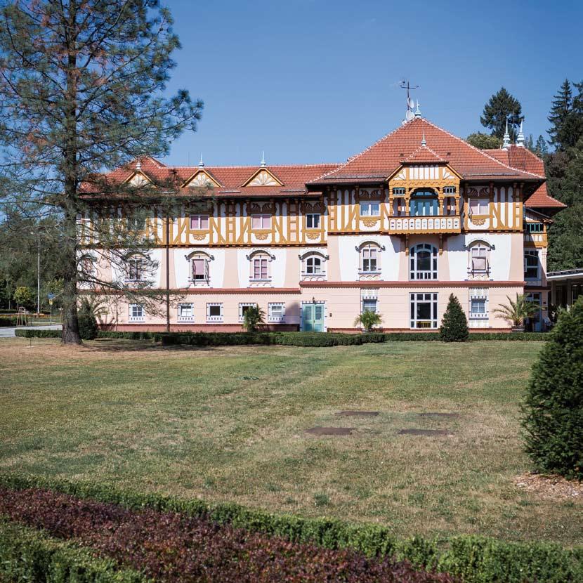 JEDINEČNÁ ORIGINÁLNÍ Vincentka je jedinečný produkt, který nemá srovnání, je originální svým původem a místem zrození v mimořádných litologicko-tektonických podmínkách a geochemických poměrech