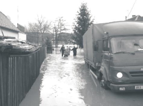 ...pokraèování ze strany 2 b) zákaz pohybu drùbeže, by mohly být kontamino- g) zákaz poøádání výstav, ky.