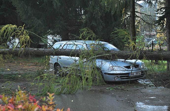 km/h méně. Rovněž v Rakousku řada stanic zaznamenala rychlost větru přes 120 km/h mj. i letiště Vídeň 126 km/h.