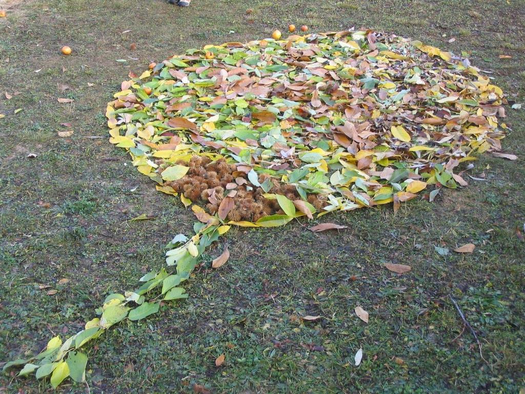 Můžeme uvést příklad výtvarné akce, kterou děti