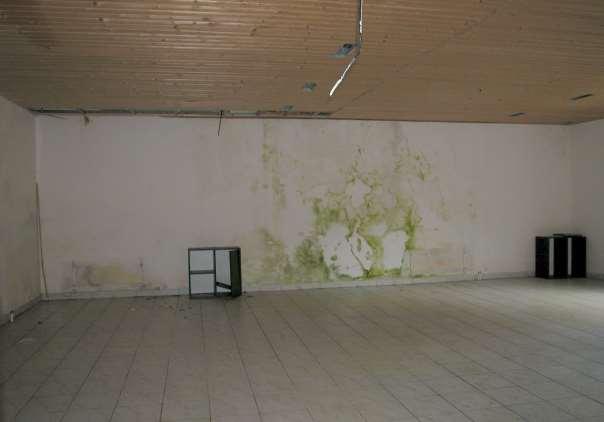 Nová Kyselka 28,