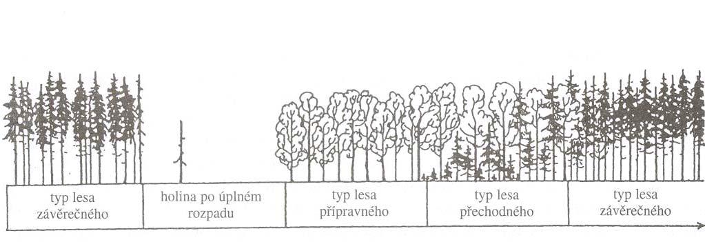 Velký vývojový cyklus