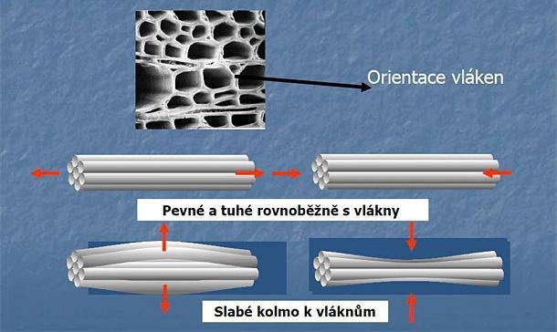 MECHANICKÉ VLASTNOSTI DŘEVA Modul pružnosti dřeva v tahu a tlaku 67 Průměrná hodnota modulu ve směru vláken se pro domácí dřeviny udává v rozpětí 10 000-15 000 MPa při w = 12%.