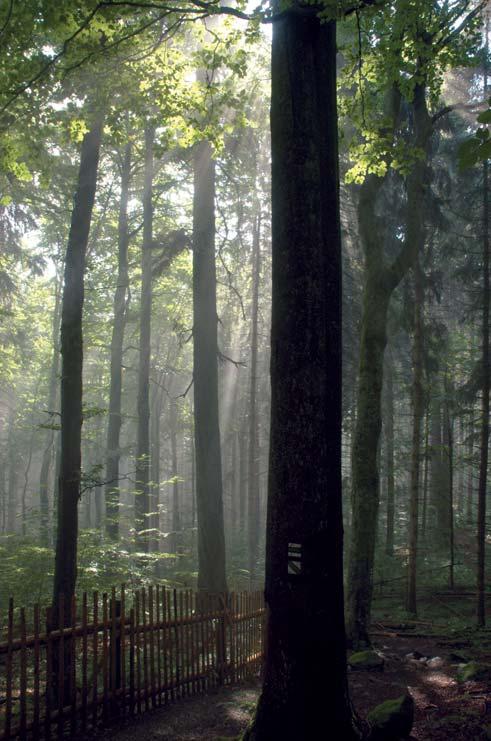 Obnova Drsné klima vyžaduje udržení vhodných tepelných mikroklimatických podmínek při obnově.