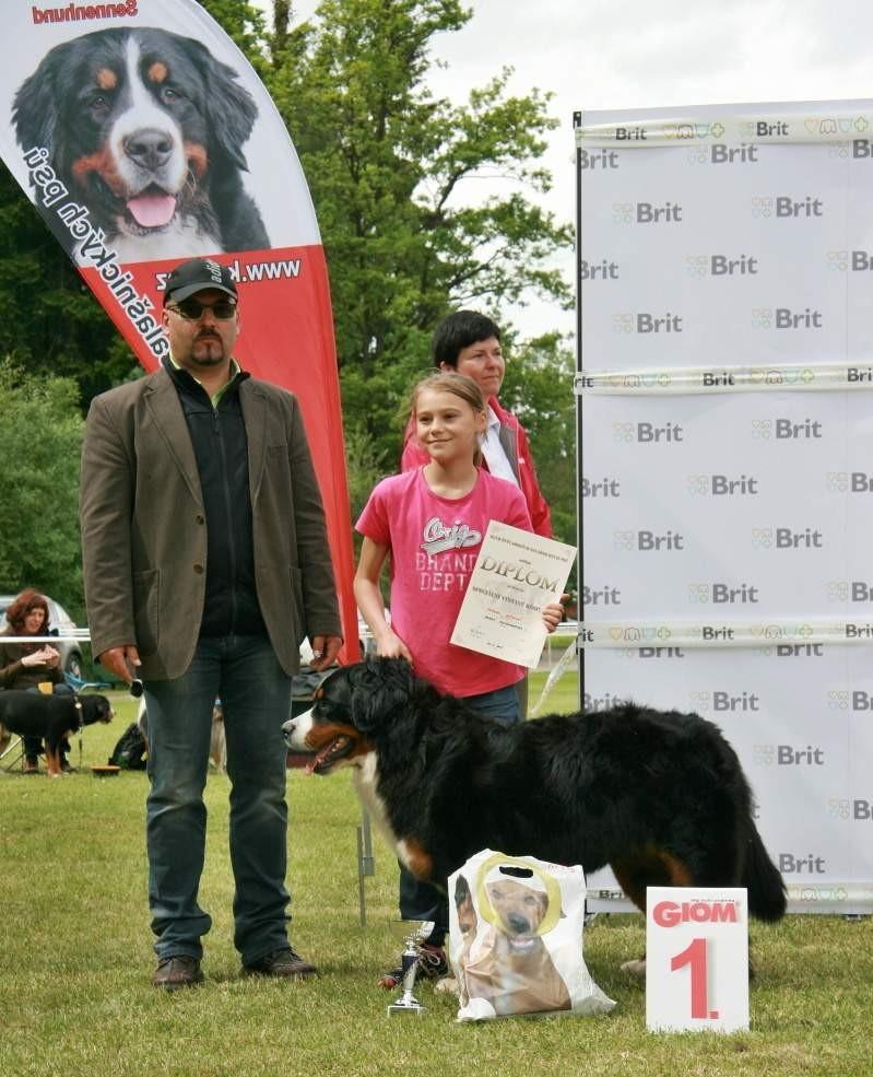 Klubová a speciální výstava Soutěž Junior Handling 1.místo 2.místo 3.místo 4.